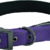 Hem & Boo Reflective Padded Collar Purple 1 Hem & Boo Reflective Padded Collar Purple -Pet Life Shop 0000259 reflective padded dog collar 550