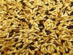 Willsbridge Super Canary Seed Mix 20kg 4 Willsbridge Super Canary Seed Mix 20kg - Image 2