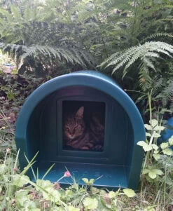 Katden Outdoor Cat Kennel - Dark Green EX DISPLAY -Pet Life Shop 1231022046green katden