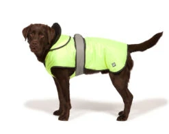 Danish Design 2 In 1 Hi Vis Waterproof Four Seasons Performance Dog Coat 7 Danish Design 2 In 1 Hi Vis Waterproof Four Seasons Performance Dog Coat -Pet Life Shop 1231024600 Hi ViswithDog