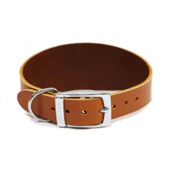 Ancol Heritage Tan Leather Greyhound Dog Collar - 34-43cm