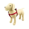 Great&Small Active Neoprene Harness Red -Pet Life Shop 15695