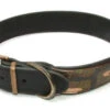 Vital Pet Products Leather Collar Combat 1 Vital Pet Products Leather Collar Combat -Pet Life Shop 17340