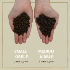 Eden 80/20 Puppy Cuisine Medium Kibble 7 Eden 80/20 Puppy Cuisine Medium Kibble -Pet Life Shop 193 puppy cuisine kibble size comparison