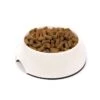 Great&Small Cream Melamine Dish 2 Great&Small Cream Melamine Dish -Pet Life Shop 19898