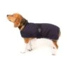 Great&Small Country Padded Blue Coat 1 Great&Small Country Padded Blue Coat -Pet Life Shop 210659