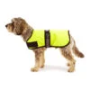 Great&Small Active Unlined Hi-Vis Coat 1 Great&Small Active Unlined Hi-Vis Coat -Pet Life Shop 210670