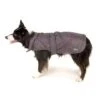 Great&Small Raincoat Grey/Purple 1 Great&Small Raincoat Grey/Purple -Pet Life Shop 210755