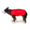Great&Small Sports Coat Red -Pet Life Shop 211102