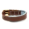 Great&Small Hawkhurst Leather Collar Padded Blue