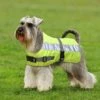 Petlife Flecta Yellow Hi Vis Water-Resistant Dog Jacket -Pet Life Shop 24556