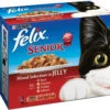 Felix Pouch Senior Selection In Jelly 2 Felix Pouch Senior Selection In Jelly -Pet Life Shop 24651