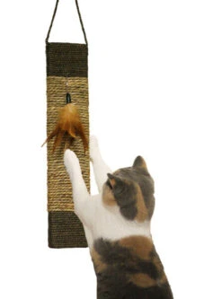 Rosewood Jolly Moggy Scratch & Play Catnip Mat