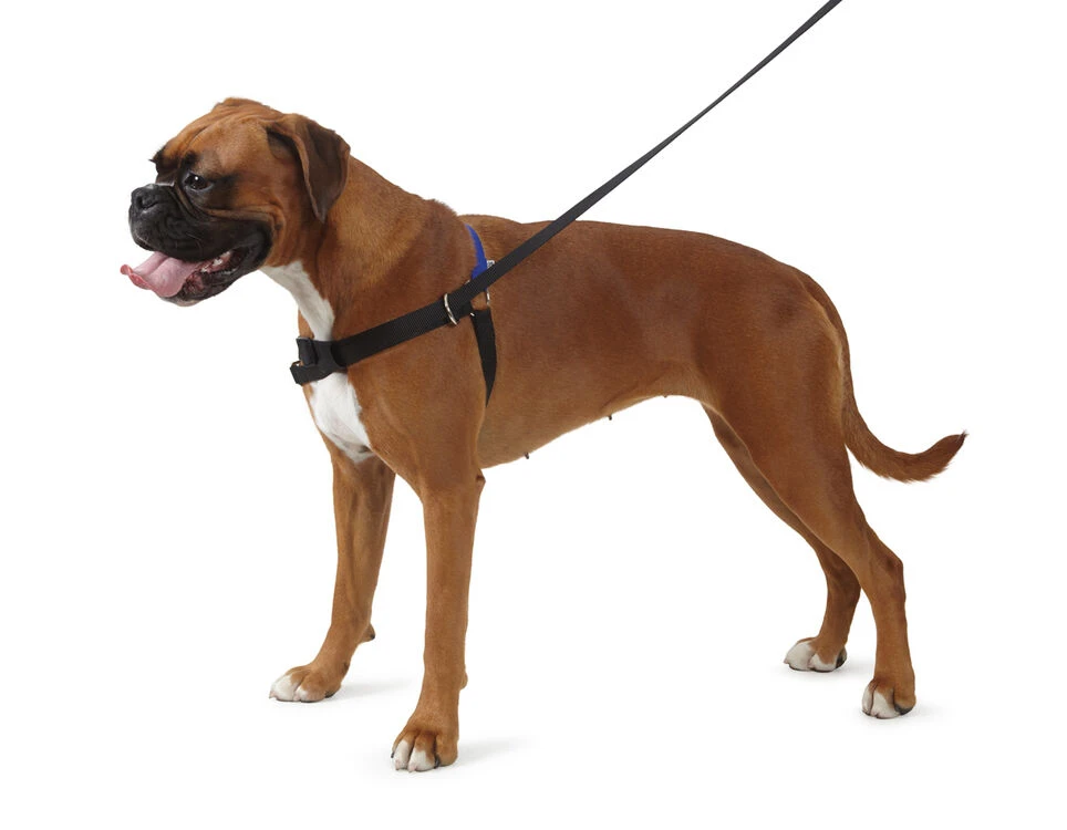 Ancol Pure Dog Listeners Harness & Lead Set Small 44-54cm 5 Ancol Pure Dog Listeners Harness & Lead Set Small 44-54cm - Image 3