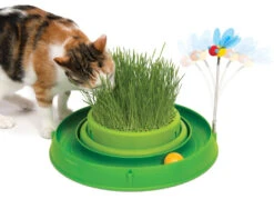 Catit Play Circuit Ball Toy With Grass Green 9 Catit Play Circuit Ball Toy With Grass Green -Pet Life Shop 43002 circuit ball toy cat grass heroshot