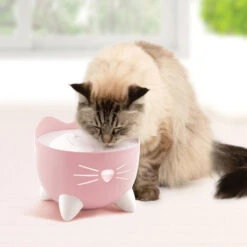 Catit Pixi Cat Water Fountain Light Pink -Pet Life Shop 43716 catit pixi fountain pink lifestyle