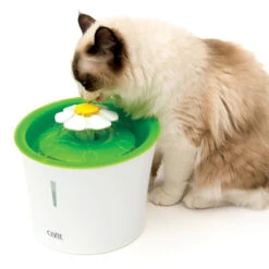 Catit 2.0 Flower Cat Water Fountain 3L -Pet Life Shop 43742 flower fountain heroshot