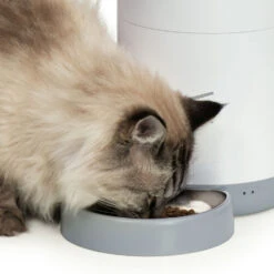 Catit Pixi Smart Feeder -Pet Life Shop 43752 catit pixi smart feeder wisker stress free bowl 1