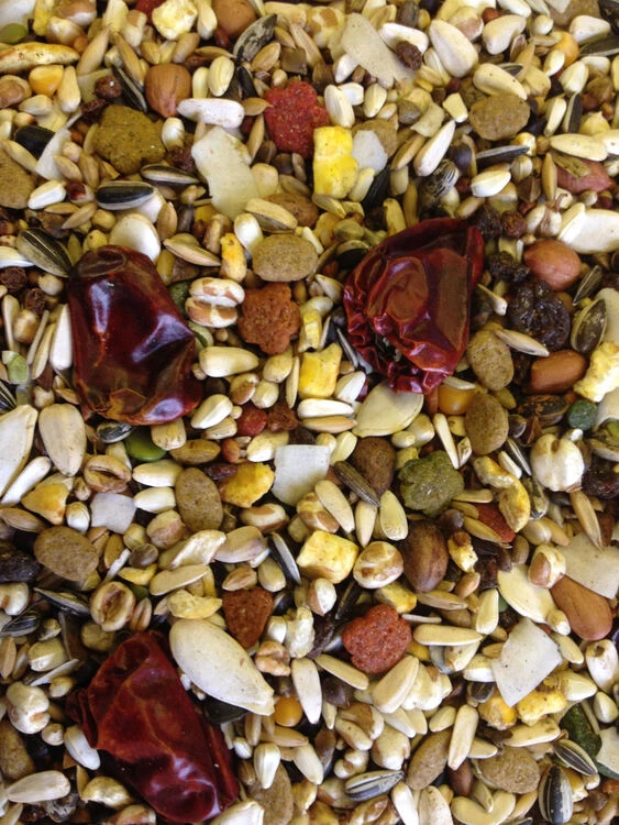 Countrywide VAM Parrot Food With Vitamins & Minerals - 12.5kg 4 Countrywide VAM Parrot Food With Vitamins & Minerals - 12.5kg - Image 2