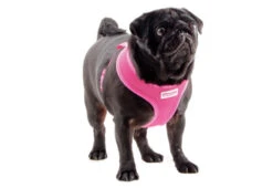 Ancol Viva Comfort Mesh Dog Harness Pink -Pet Life Shop 48945