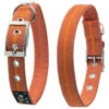 Oscar & Hooch Dog Collar Clementine Orange