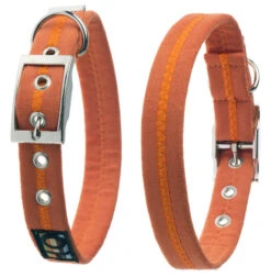 Oscar & Hooch Dog Collar Clementine Orange
