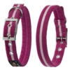 Oscar & Hooch Dog Collar Hot Pink -Pet Life Shop 50241