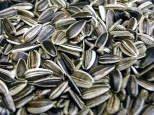 Countrywide Small Striped Sunflower Seed 13kg 4 Countrywide Small Striped Sunflower Seed 13kg - Image 2