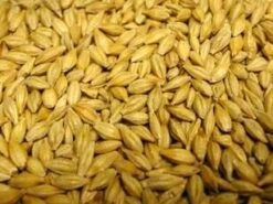 Countrywide Pigeon Barley 20kg -Pet Life Shop 5518