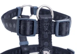 Petface Black Tonal Dots Dog Harness 21 Petface Black Tonal Dots Dog Harness -Pet Life Shop 5b97e1a8c84115.09432445