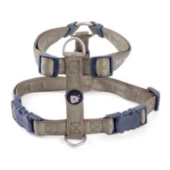 Petface Country Green Tonal Bones Dog Harness -Pet Life Shop 6203ad04cd1f91.70758415