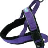 Dog & Co Nylon Norwegian Harness Reflective Purple 1 Dog & Co Nylon Norwegian Harness Reflective Purple -Pet Life Shop 62768