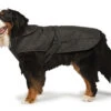 Danish Design 2 In 1 Ultimate HarnessĀ Dog Coat Black 1 Danish Design 2 In 1 Ultimate HarnessĀ Dog Coat Black -Pet Life Shop 63230