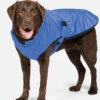 Danish Design Sports Luxe Blue Dog Coat 1 Danish Design Sports Luxe Blue Dog Coat -Pet Life Shop 63255