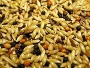 Willsbridge British Finch Mix 20kg 4 Willsbridge British Finch Mix 20kg - Image 2