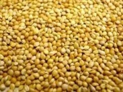 Countrywide Panicum Millet Seed 20kg -Pet Life Shop 6408