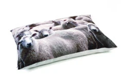 Beeztees Lounge Cushion Sheep Beige 100 X 70cm