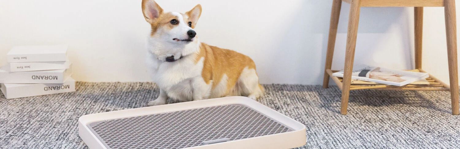 Petkit Pura Dog Indoor Training Pad Holder 3 Petkit Pura Dog Indoor Training Pad Holder