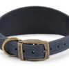 Ancol Timberwolf Greyhound Leather Dog Collar In Blue 34-43cm -Pet Life Shop 65516