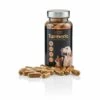 Golden Paste Turmeric Capsules 1 Golden Paste Turmeric Capsules -Pet Life Shop 769686