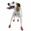 Pawz Dog Boots Red Small -Pet Life Shop 773750