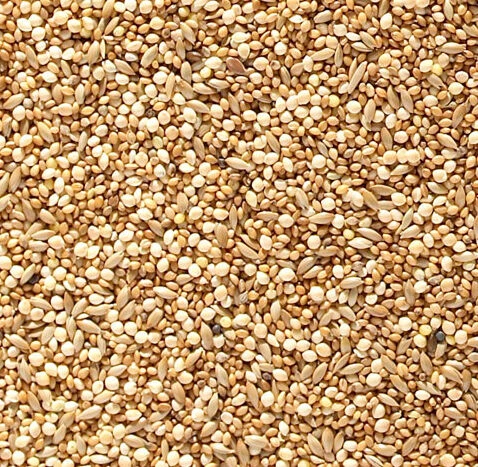 Johnston & Jeff Foreign Finch Seed 4 Johnston & Jeff Foreign Finch Seed - Image 2