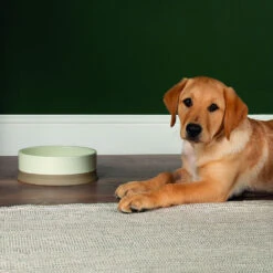 Scruffs® Scandi Non Tip Bowl Cream 7 Scruffs® Scandi Non Tip Bowl Cream -Pet Life Shop 823205 2 1