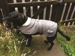 Banbury & Co All Weather Waterproof Comfort Padded Dog Coat In Grey 9 Banbury & Co All Weather Waterproof Comfort Padded Dog Coat In Grey -Pet Life Shop 8eee8db8 3785 426d 98ef a5a600e9d276600x450