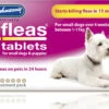 Johnson's 4fleas Tablets For Dogs & Puppies - Up To 11kg - 6 Treatments -Pet Life Shop D084 1