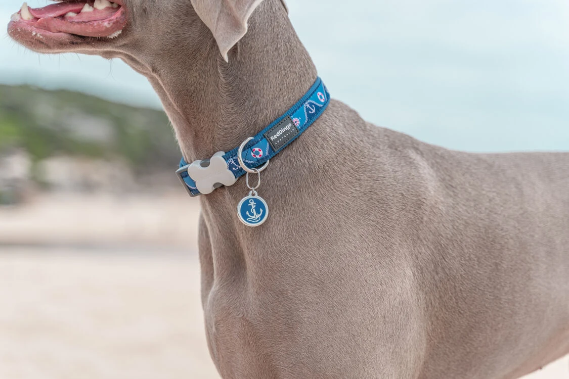 Red Dingo Stainless Steel Engraved Dog Tag Penguin 5 Red Dingo Stainless Steel Engraved Dog Tag Penguin - Image 3