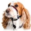 Halti OptiFit Headcollar 1 Halti OptiFit Headcollar -Pet Life Shop Image option to replace dalmation on Halti landing page