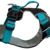 Sotnos Dog Travel Safety And Walking Harness Teal