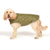 Danish Design Forest Green Quilted Dog Coat 2 Danish Design Forest Green Quilted Dog Coat -Pet Life Shop Quilted Dog Coat Green with Dog