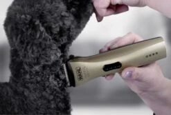 Wahl Super Groom Cordless Dog Grooming Clipper Kit 7 Wahl Super Groom Cordless Dog Grooming Clipper Kit -Pet Life Shop WM6872 800X Supergroom Clipper High 1024x691 1